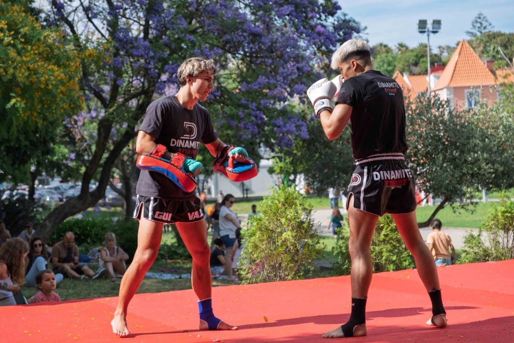 Thai festival event photography muay thai boxing Thai festival event photography muay thai boxing demo