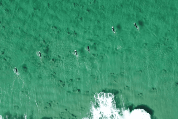 vlcsnap-2025-12-30-12h54m58s574